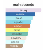 اورتو پاریسی مگاماره اکنومی