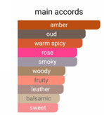 لویی ویتون آمبرنومد لوزی