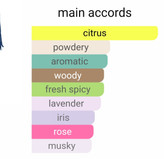 زرجوف مفیستو لوزی