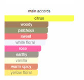 شنل کوکو مادمازل لوزی