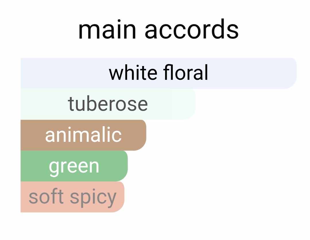 ناسوماتو نارکوتیک ونس لوزی